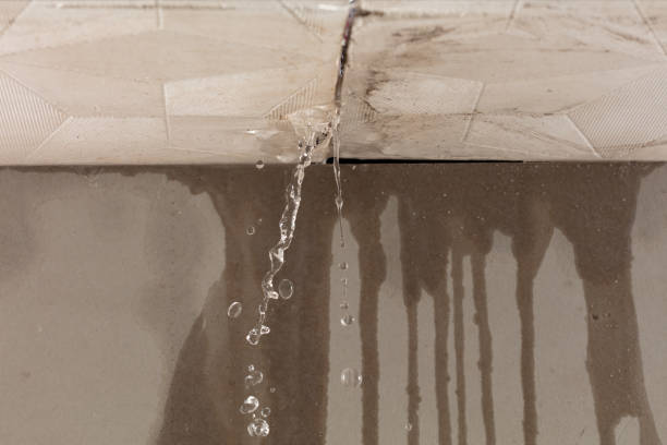 Professional Burst Pipe Cleanup technician working in Monee, IL